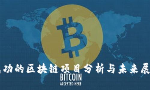成功的区块链项目分析与未来展望