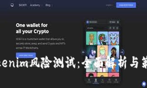 Tokenim风险测试：全面解析与策略