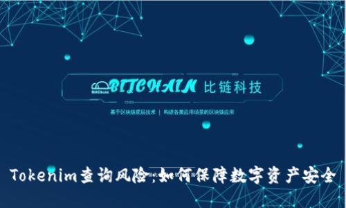 Tokenim查询风险：如何保障数字资产安全