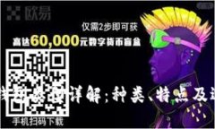区块链钱包类型详解：种类、特点及选择指南