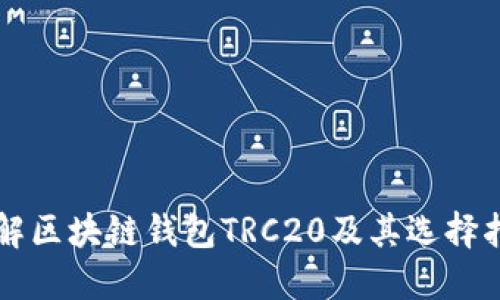 详解区块链钱包TRC20及其选择指南