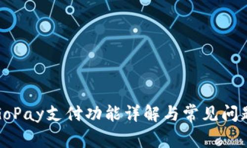 GoPay支付功能详解与常见问题