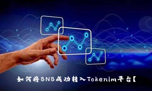 如何将BNB成功转入Tokenim平台？
