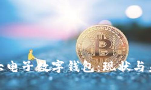 全球最大电子数字钱包：现状与未来趋势