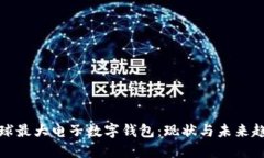 全球最大电子数字钱包：现状与未来趋势