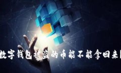 数字钱包被盗的币能不能