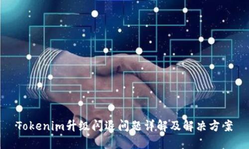 Tokenim升级闪退问题详解及解决方案