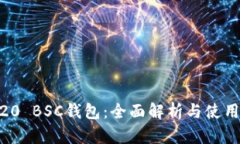 BEP20 BSC钱包：全面解析与