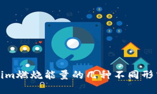 Tokenim燃烧能量的几种不同形式解析