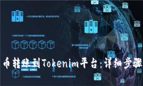 如何将鼓鼓币转账到Tokenim平台：详细步骤与注意事项