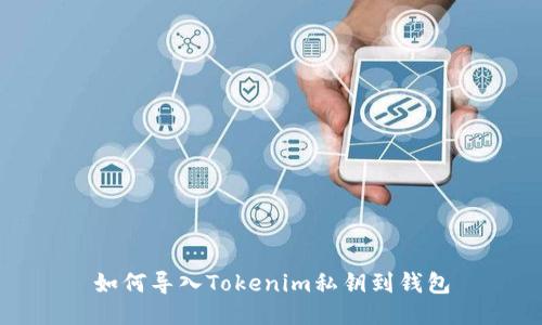 如何导入Tokenim私钥到钱包